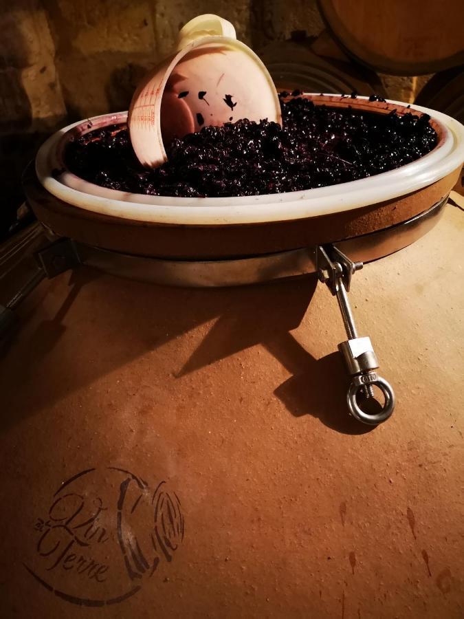 Chateau Cantelaube 圣艾米隆 外观 照片