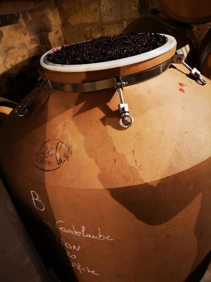 Chateau Cantelaube 圣艾米隆 外观 照片