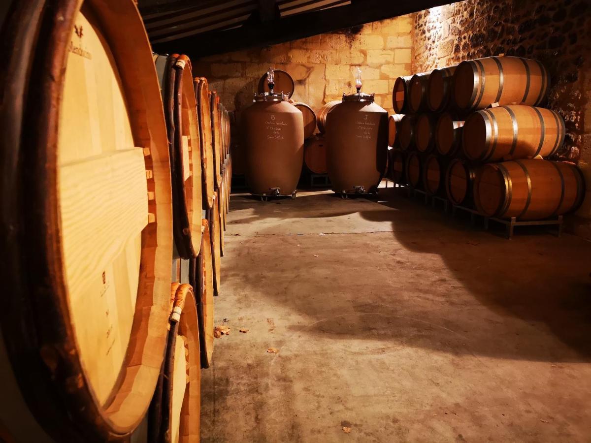 Chateau Cantelaube 圣艾米隆 外观 照片