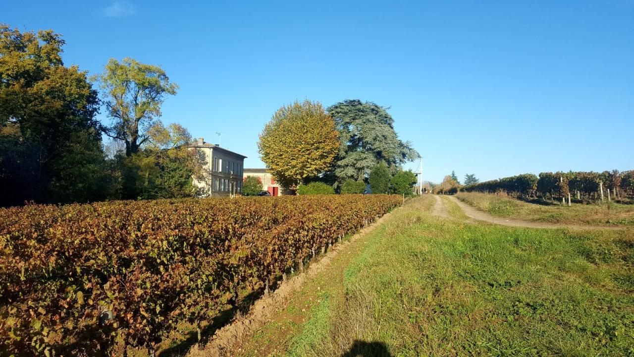 Chateau Cantelaube 圣艾米隆 外观 照片